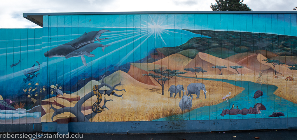 ponderosa elementary